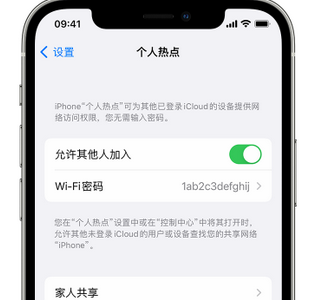 久治apple服务站点分享iPhone上个人热点丢失了怎么办 