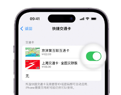 久治apple维修点分享iPhone上更换Apple Pay快捷交通卡手绘卡面 