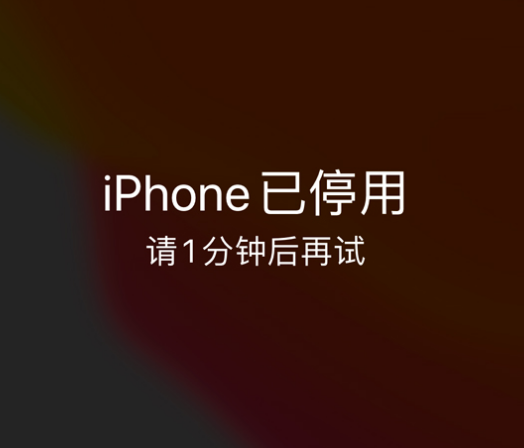 久治苹果手机维修分享:iPhone 显示“不可用”或“已停用”怎么办？还能保留数据吗？ 