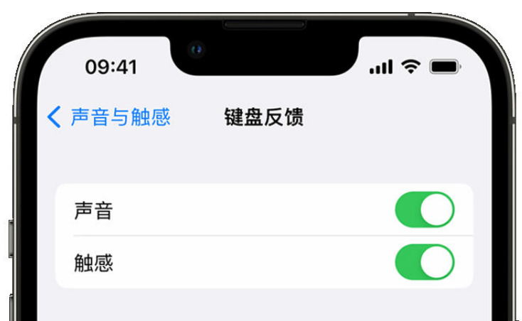 久治苹果手机维修分享iPhone 14触感键盘使用方法 