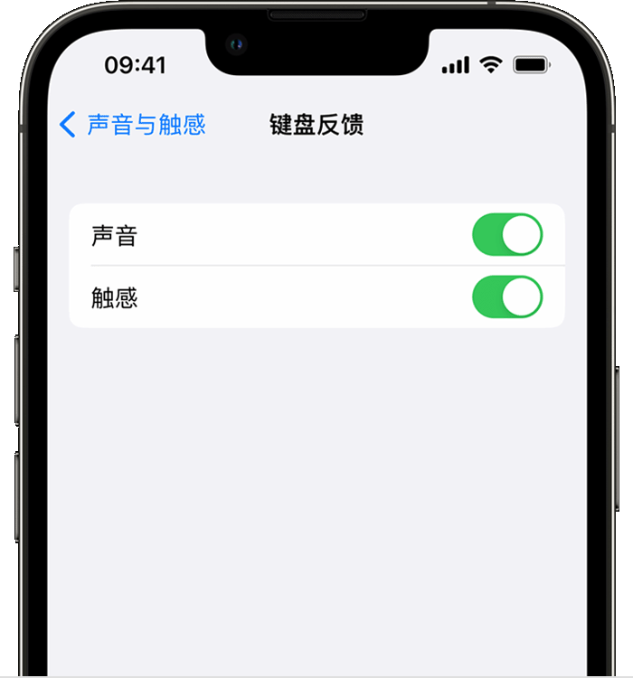 久治苹果14维修店分享如何在 iPhone 14 机型中使用触感键盘 