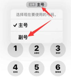 久治苹果14维修店分享iPhone 14 Pro Max使用副卡打电话的方法 