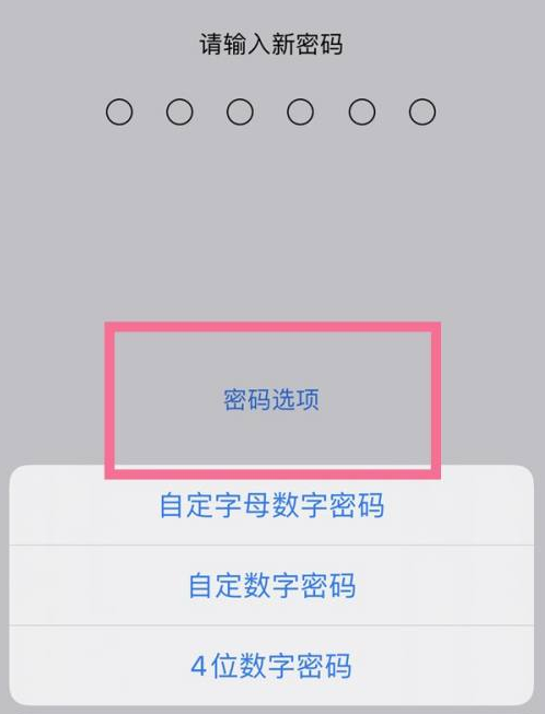 久治苹果14维修分享iPhone 14plus设置密码的方法 