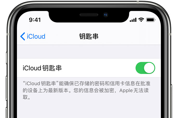 久治苹果手机维修分享在 iPhone 上开启 iCloud 钥匙串之后会储存哪些信息 