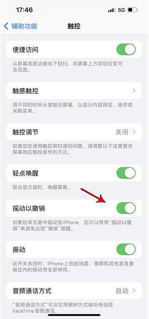 久治苹果手机维修分享iPhone手机如何设置摇一摇删除文字 